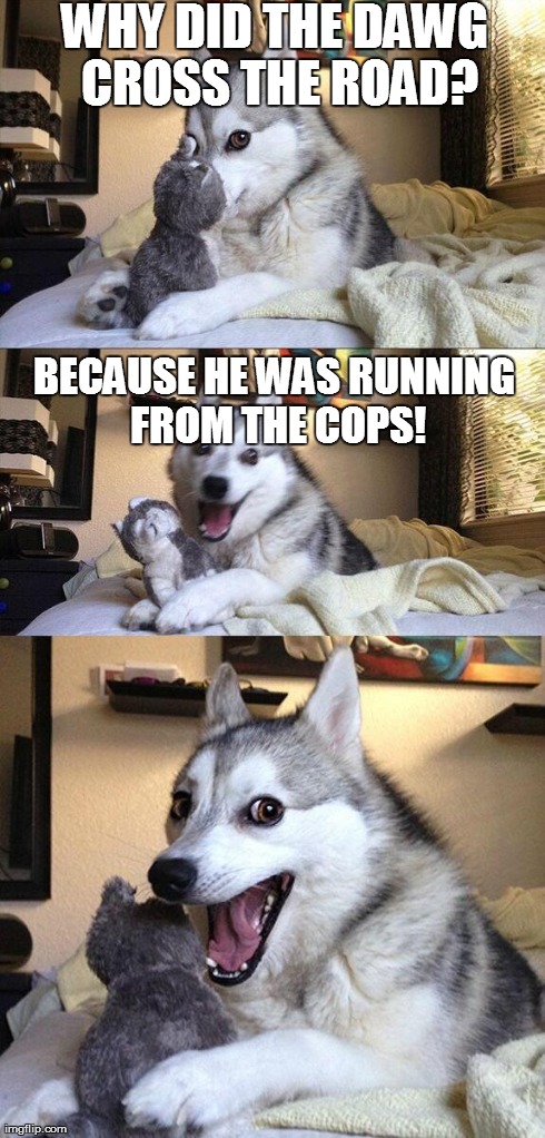 Bad Pun Dog Meme | WHY DID THE DAWG CROSS THE ROAD? BECAUSE HE WAS RUNNING FROM THE COPS! | image tagged in memes,bad pun dog | made w/ Imgflip meme maker