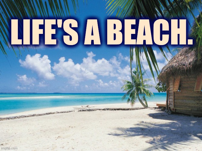 Life's a beach. | LIFE'S A BEACH. | image tagged in sandy's beach 2 | made w/ Imgflip meme maker