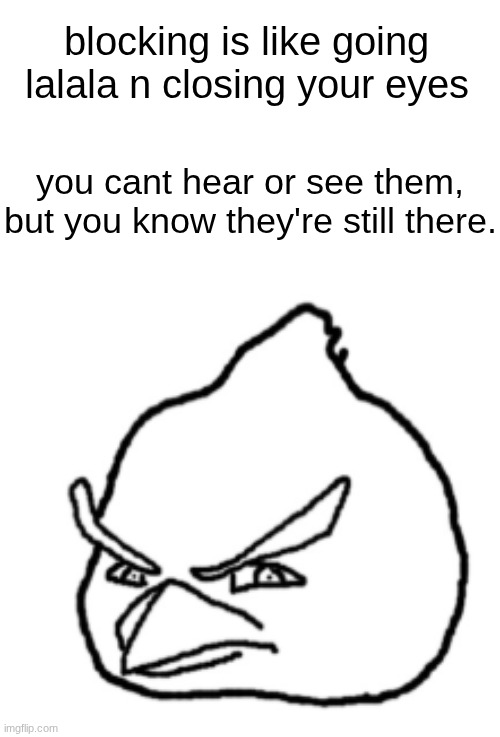 blocking isn't enough, I need them to be skinned with a bread knife | blocking is like going lalala n closing your eyes; you cant hear or see them, but you know they're still there. | image tagged in unrealistic angry bird | made w/ Imgflip meme maker