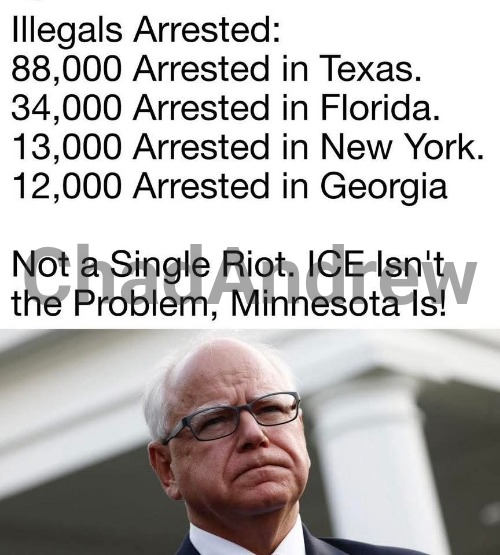 Almost no issues in any other state. | image tagged in ice,illegal aliens,minnesota,fraud | made w/ Imgflip meme maker