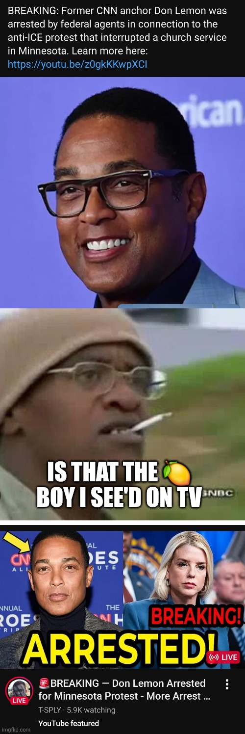 Ladies and gentlemen Donna lemon has been captured! | IS THAT THE 🍋 BOY I SEE'D ON TV | image tagged in wtf | made w/ Imgflip meme maker