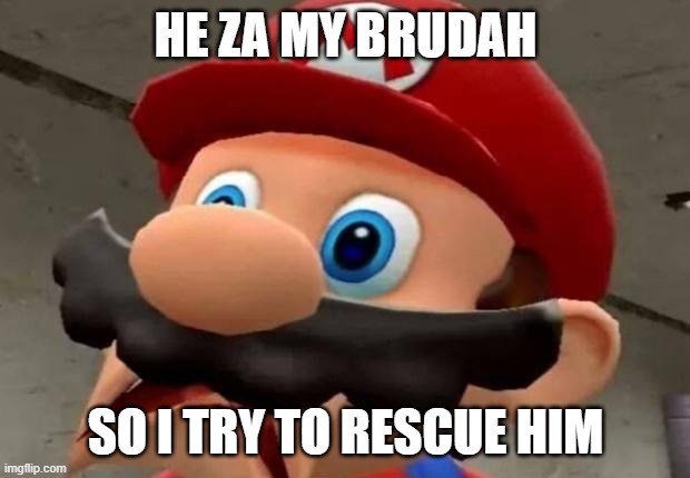 Mario WTF | HE ZA MY BRUDAH SO I TRY TO RESCUE HIM | image tagged in mario wtf | made w/ Imgflip meme maker