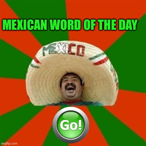 Gringo | MEXICAN WORD OF THE DAY | image tagged in succesful mexican | made w/ Imgflip meme maker