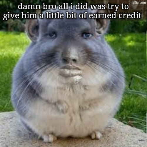 Grey Chinchilla Meme | damn bro all i did was try to give him a little bit of earned credit | image tagged in grey chinchilla meme | made w/ Imgflip meme maker