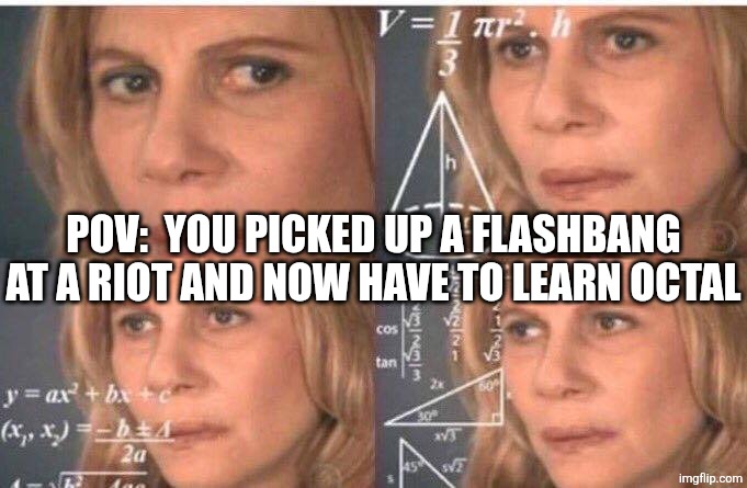 Math lady/Confused lady | POV:  YOU PICKED UP A FLASHBANG AT A RIOT AND NOW HAVE TO LEARN OCTAL | image tagged in math lady/confused lady | made w/ Imgflip meme maker