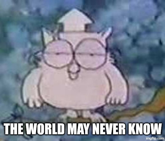 Tootsie Roll Owl | THE WORLD MAY NEVER KNOW | image tagged in tootsie roll owl | made w/ Imgflip meme maker