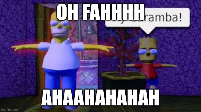 Idk | OH FAHHHH; AHAAHAHAHAH | image tagged in you vs homer | made w/ Imgflip meme maker