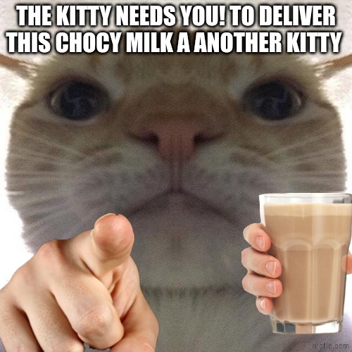 Kitty | THE KITTY NEEDS YOU! TO DELIVER THIS CHOCY MILK A ANOTHER KITTY | image tagged in cat point at you | made w/ Imgflip meme maker