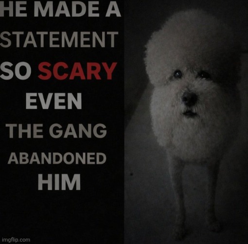 made w/ Imgflip meme maker