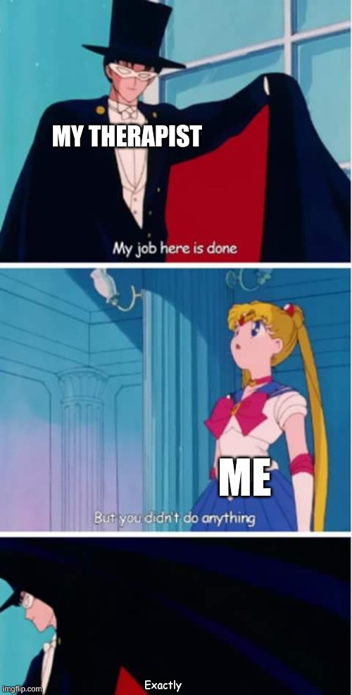 sailor moon you didn't do anything | MY THERAPIST; ME; Exactly | image tagged in sailor moon you didn't do anything | made w/ Imgflip meme maker