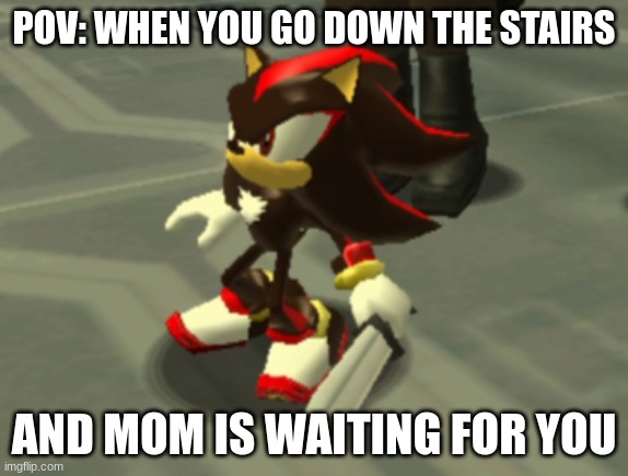 Shadow The Hedgehog with a knife | POV: WHEN YOU GO DOWN THE STAIRS; AND MOM IS WAITING FOR YOU | image tagged in shadow the hedgehog with a knife | made w/ Imgflip meme maker