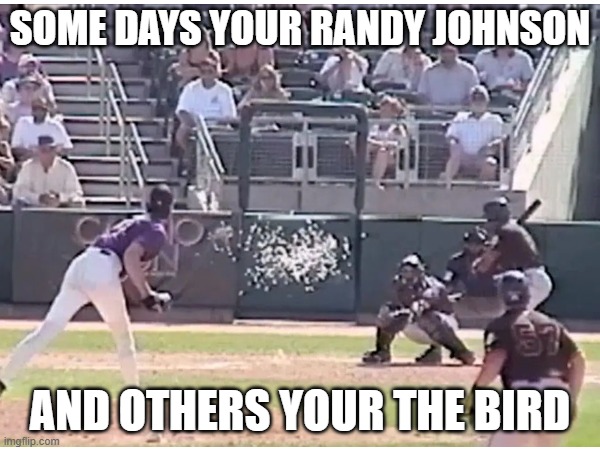 HAHAHA | SOME DAYS YOUR RANDY JOHNSON; AND OTHERS YOUR THE BIRD | image tagged in baseball | made w/ Imgflip meme maker