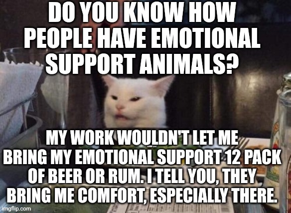 Smudge that darn cat | DO YOU KNOW HOW PEOPLE HAVE EMOTIONAL SUPPORT ANIMALS? MY WORK WOULDN'T LET ME BRING MY EMOTIONAL SUPPORT 12 PACK OF BEER OR RUM. I TELL YOU, THEY BRING ME COMFORT, ESPECIALLY THERE. | image tagged in smudge that darn cat | made w/ Imgflip meme maker