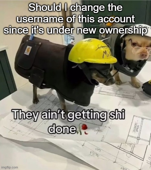They ain't getting shi done | Should I change the username of this account since it's under new ownership | image tagged in they ain't getting shi done | made w/ Imgflip meme maker
