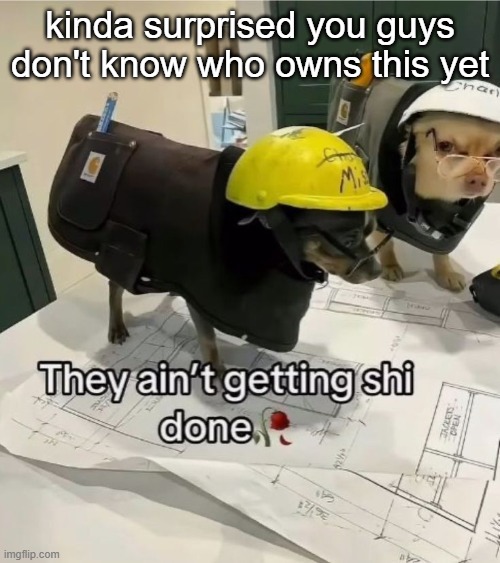 They ain't getting shi done | kinda surprised you guys don't know who owns this yet | image tagged in they ain't getting shi done | made w/ Imgflip meme maker