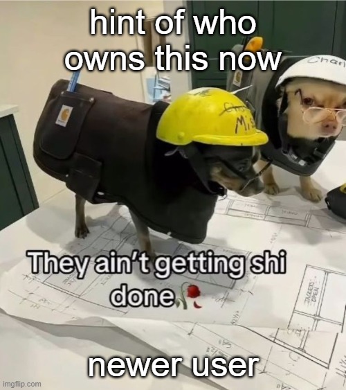 They ain't getting shi done | hint of who owns this now; newer user | image tagged in they ain't getting shi done | made w/ Imgflip meme maker