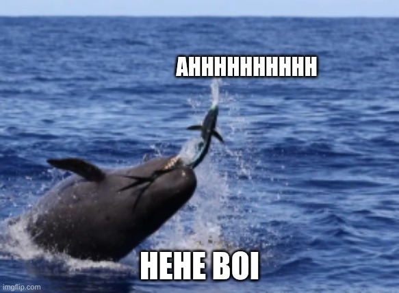 FAH | AHHHHHHHHHH; HEHE BOI | image tagged in cooked | made w/ Imgflip meme maker