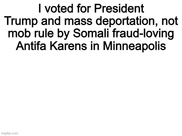 Bullsye | I voted for President Trump and mass deportation, not mob rule by Somali fraud-loving Antifa Karens in Minneapolis | image tagged in memes,funny,president trump,politics,political meme | made w/ Imgflip meme maker