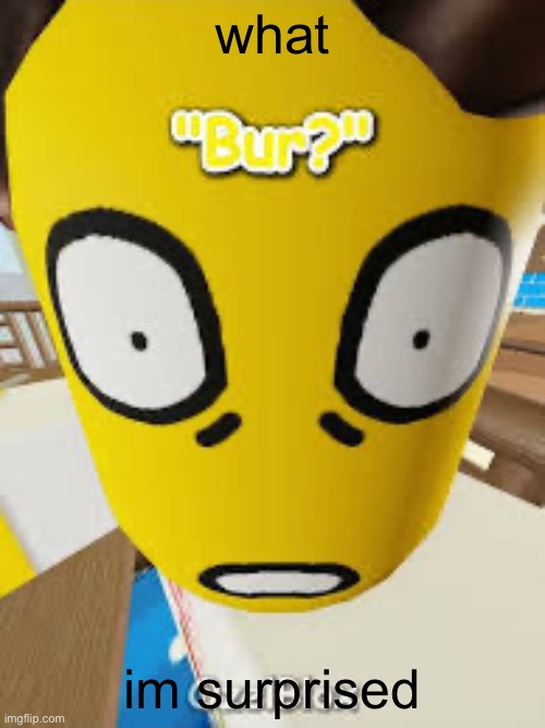 Bur? | what; im surprised | image tagged in what | made w/ Imgflip meme maker