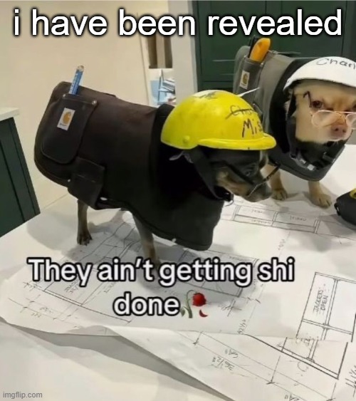 They ain't getting shi done | i have been revealed | image tagged in they ain't getting shi done | made w/ Imgflip meme maker