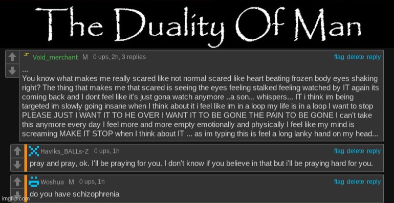 image tagged in the duality of man | made w/ Imgflip meme maker