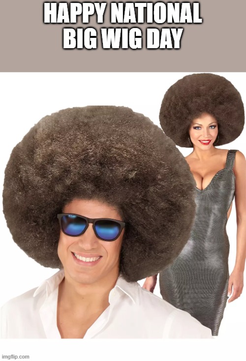 Happy National Big Wig Day | HAPPY NATIONAL BIG WIG DAY | image tagged in happy,big wig day,wig,sunglasses,funny,memes | made w/ Imgflip meme maker