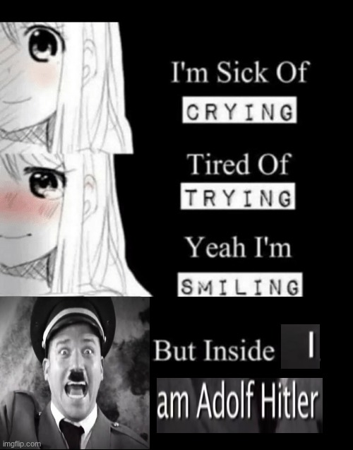 I AM ADOLF HITLER COMMANDER OF THE THIRD REICH | image tagged in i'm sick of crying | made w/ Imgflip meme maker
