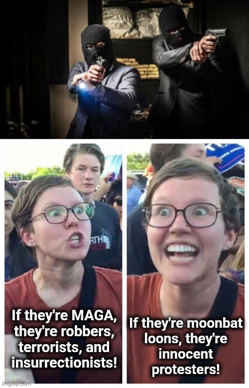 The only Democrat standards are double standards | If they're MAGA,
they're robbers,
terrorists, and
insurrectionists! If they're moonbat
loons, they're
innocent
protesters! | image tagged in social justice warrior hypocrisy,memes,protesters,alex pretti,don lemon,democrats | made w/ Imgflip meme maker