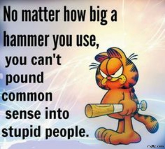 You can't pound common sense into stupid people | image tagged in you can't pound common sense into stupid people | made w/ Imgflip meme maker