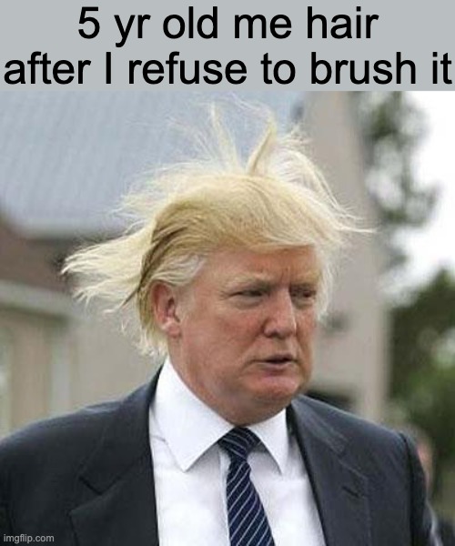 hair | 5 yr old me hair after I refuse to brush it | image tagged in donald trump | made w/ Imgflip meme maker
