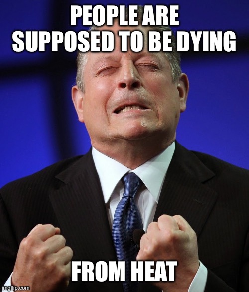 PEOPLE ARE SUPPOSED TO BE DYING FROM HEAT | image tagged in al gore | made w/ Imgflip meme maker