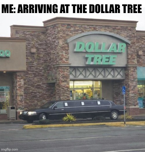 Me Arriving At The Dollar Tree | ME: ARRIVING AT THE DOLLAR TREE | image tagged in chrisjoines1 | made w/ Imgflip meme maker