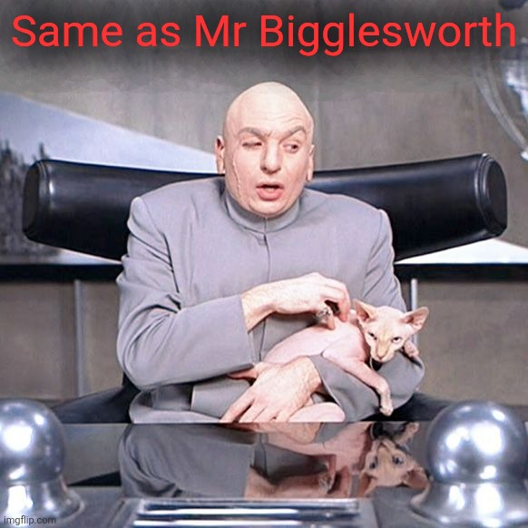 Dr Evil Mr Bigglesworth | Same as Mr Bigglesworth | image tagged in dr evil mr bigglesworth | made w/ Imgflip meme maker