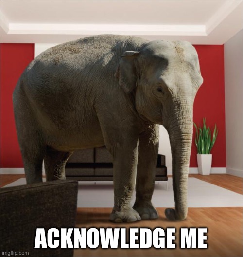 ACKNOWLEDGE ME | image tagged in elephant in the room | made w/ Imgflip meme maker