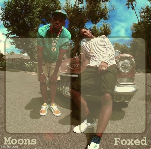 Moons & Foxed - Rocky & Tyler Temp Blank Meme Template