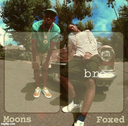 Moons & Foxed - Rocky & Tyler Temp | bro | image tagged in moons foxed - rocky tyler temp | made w/ Imgflip meme maker