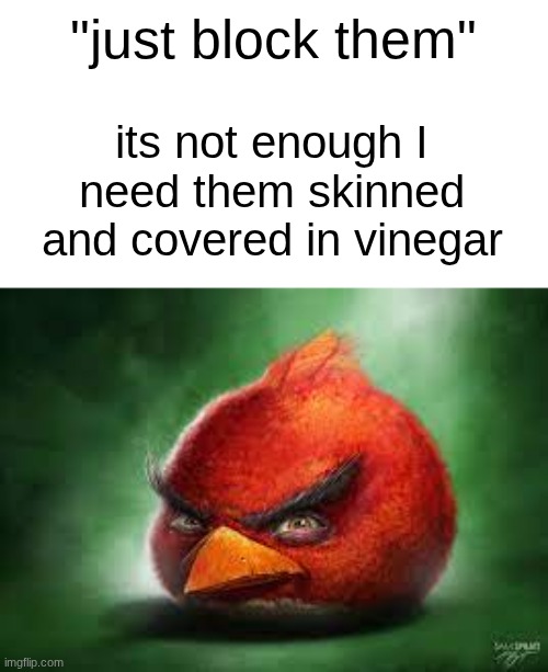 s | "just block them"; its not enough I need them skinned and covered in vinegar | image tagged in realistic red angry birds | made w/ Imgflip meme maker