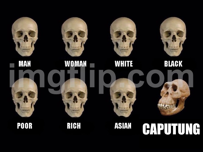 Caputung? More like capudumb | CAPUTUNG | image tagged in empty skulls of truth | made w/ Imgflip meme maker