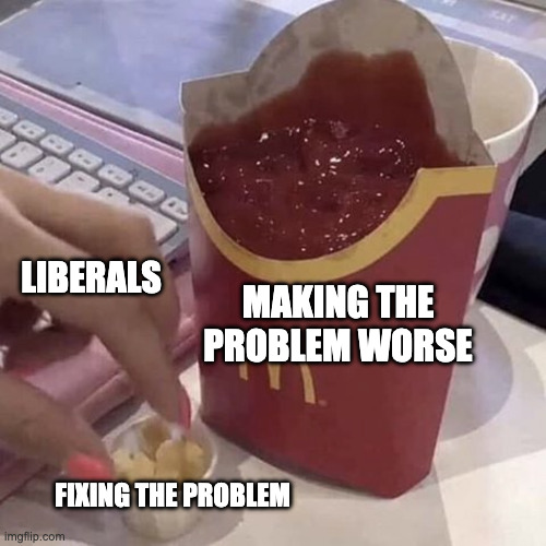 "FRISE" | LIBERALS; MAKING THE PROBLEM WORSE; FIXING THE PROBLEM | image tagged in ketchup with a side of fries | made w/ Imgflip meme maker