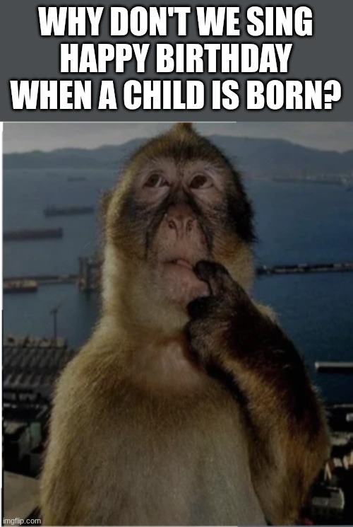 birth day | WHY DON'T WE SING HAPPY BIRTHDAY WHEN A CHILD IS BORN? | image tagged in thinking monkey,thinking,monkey,memes,wonder,confusing | made w/ Imgflip meme maker