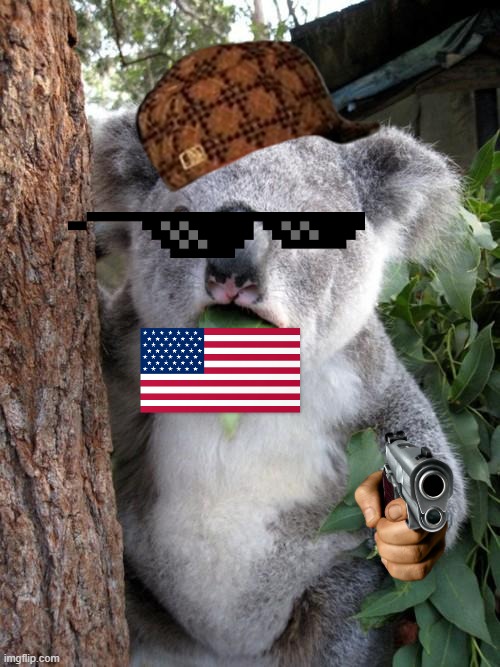 Surprised Koala Meme | image tagged in memes,surprised koala | made w/ Imgflip meme maker