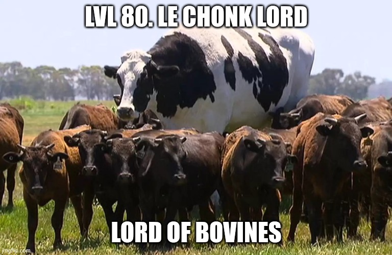 a big boy | LVL 80. LE CHONK LORD; LORD OF BOVINES | image tagged in funny | made w/ Imgflip meme maker