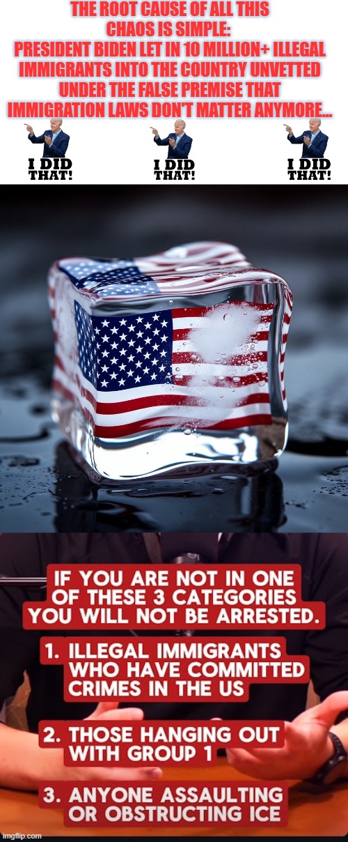 President Biden let in 10 million+ illegal immigrants in unvetted under the false premise that immigration laws are irrelevant | THE ROOT CAUSE OF ALL THIS CHAOS IS SIMPLE: 
PRESIDENT BIDEN LET IN 10 MILLION+ ILLEGAL IMMIGRANTS INTO THE COUNTRY UNVETTED UNDER THE FALSE PREMISE THAT IMMIGRATION LAWS DON'T MATTER ANYMORE... | image tagged in usa i c e ice,biden,illegal immigration,law and order,illegal crimes,minnesota | made w/ Imgflip meme maker