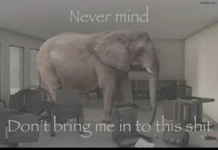 Nevermind don't bring me into this shit | image tagged in nevermind don't bring me into this shit | made w/ Imgflip meme maker
