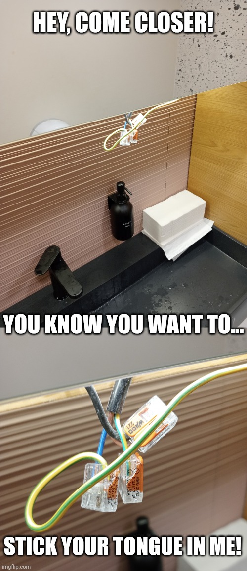 Indecent proposal... | HEY, COME CLOSER! YOU KNOW YOU WANT TO... STICK YOUR TONGUE IN ME! | image tagged in toilet,wires,skibidi toilet sucks,indecent proposal | made w/ Imgflip meme maker