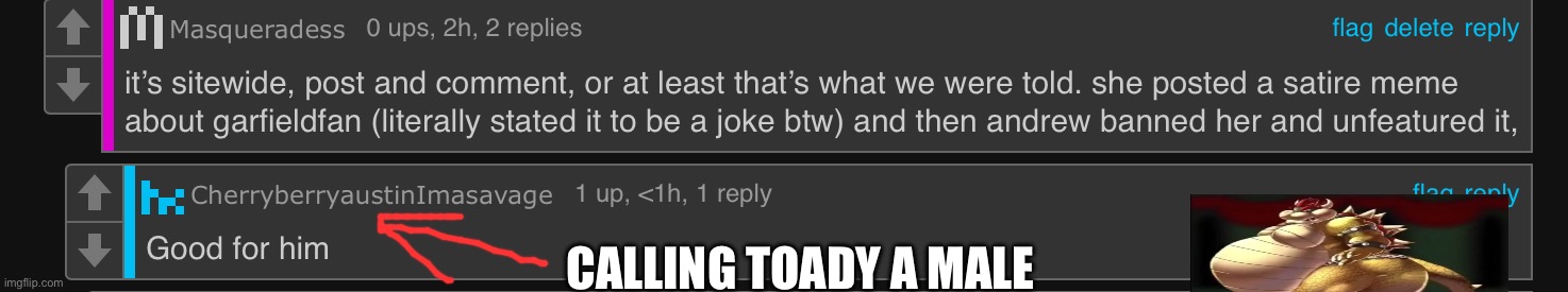 CALLING TOADY A MALE | made w/ Imgflip meme maker