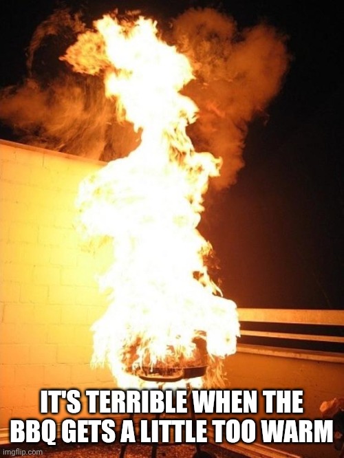 IT'S TERRIBLE WHEN THE BBQ GETS A LITTLE TOO WARM | image tagged in bbq grill on fire | made w/ Imgflip meme maker