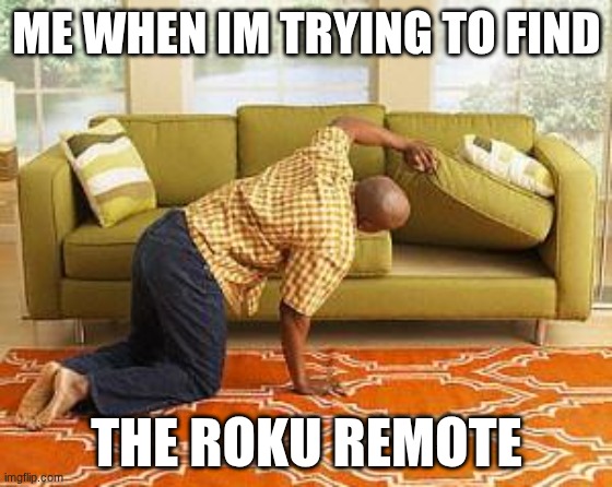 FR | ME WHEN IM TRYING TO FIND; THE ROKU REMOTE | image tagged in searching | made w/ Imgflip meme maker
