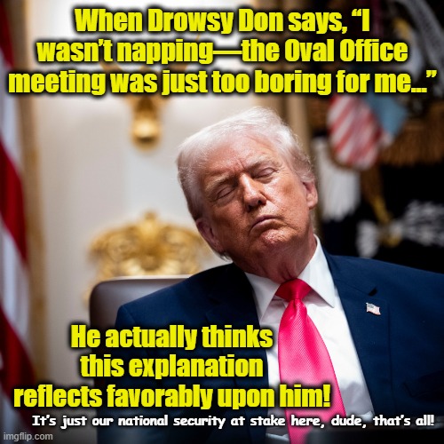 Drowsy Don Bored with our Country's Posterity | When Drowsy Don says, “I wasn’t napping—the Oval Office meeting was just too boring for me…”; He actually thinks this explanation reflects favorably upon him! It’s just our national security at stake here, dude, that’s all! | image tagged in funny trump meme,donald trump the clown,maga,rest in peace,nevertrump,deplorable donald | made w/ Imgflip meme maker