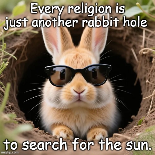 Wake Up Call | Every religion is just another rabbit hole; to search for the sun. | image tagged in enlightened rabbit | made w/ Imgflip meme maker
